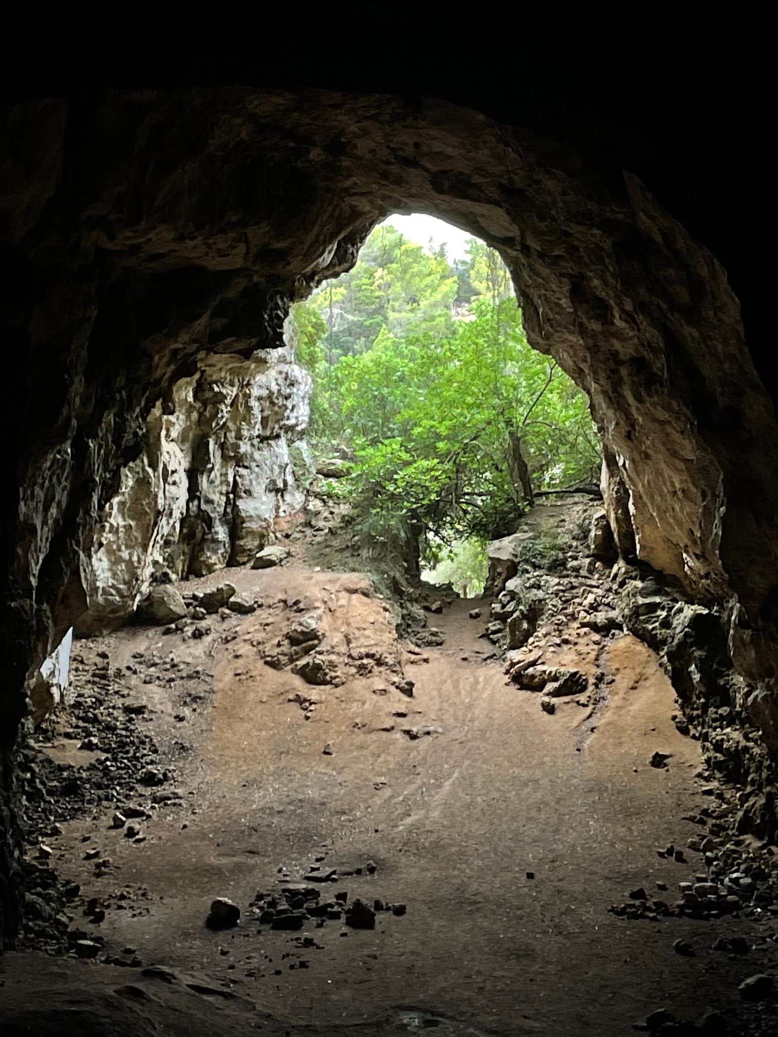 Cova des Coloms