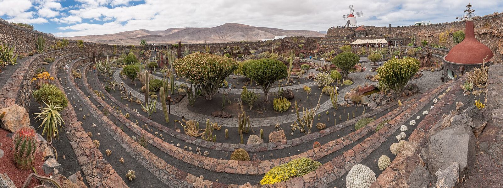 Cactus Garden