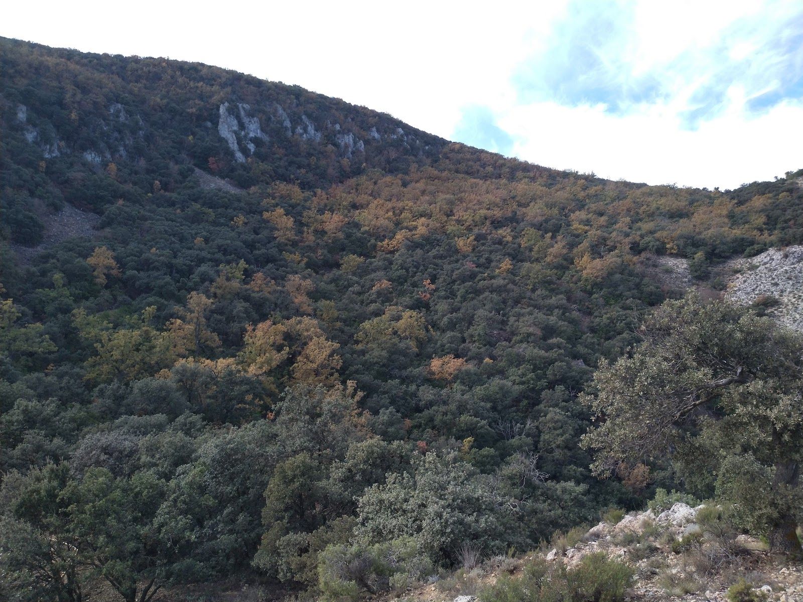 Font Roja Natural Park