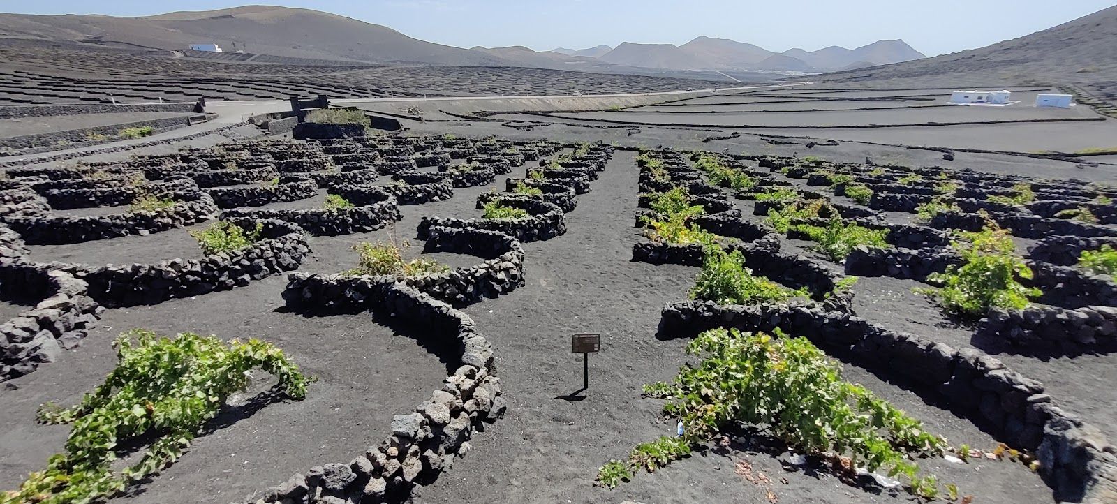 La Geria Wine Region