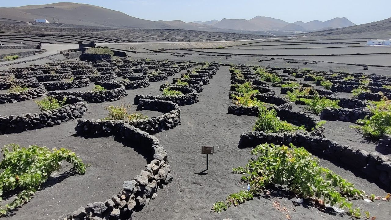La Geria Wine Region