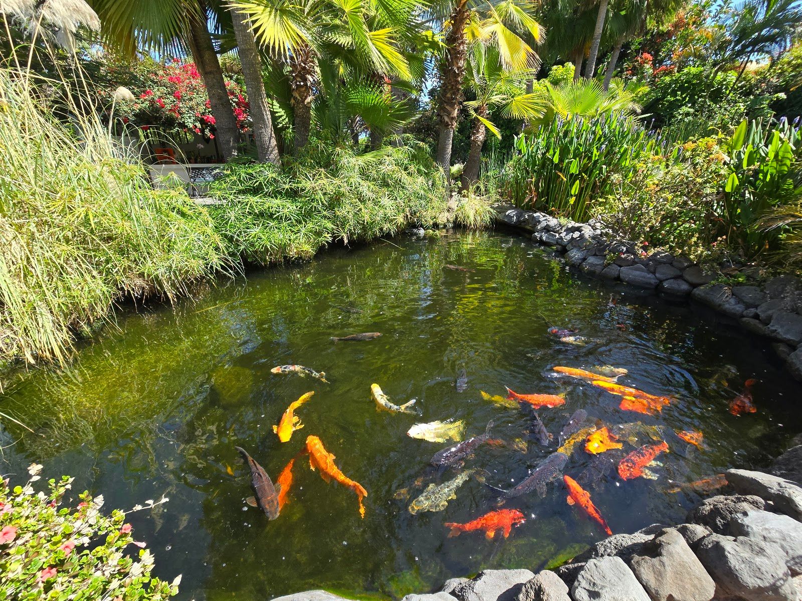Sitio Litre Garden