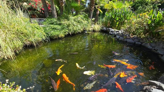Sitio Litre Garden