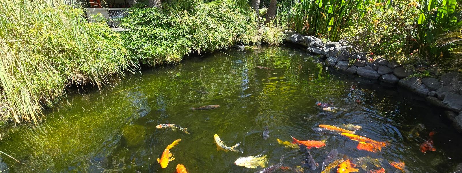 Sitio Litre Garden