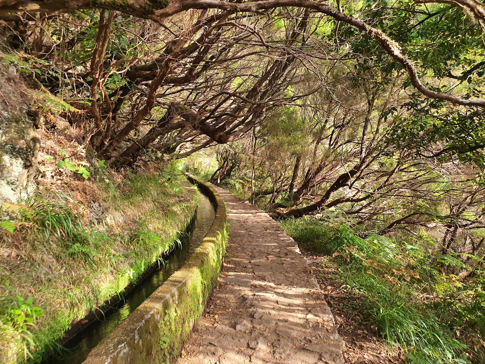 PR6 25 Fontes hike & Levada do Risco
