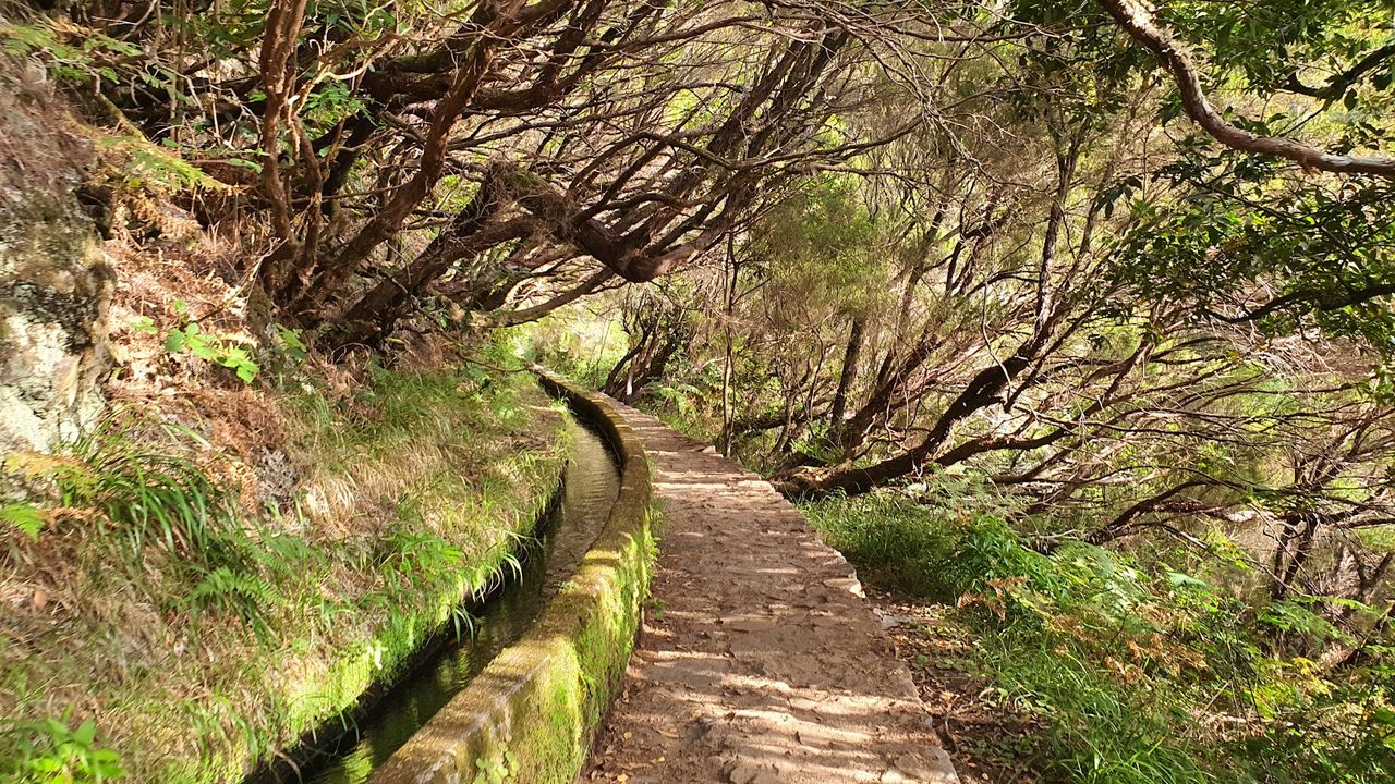 PR6 25 Fontes hike & Levada do Risco