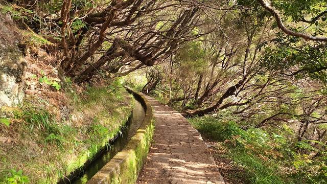 PR6 25 Fontes hike & Levada do Risco