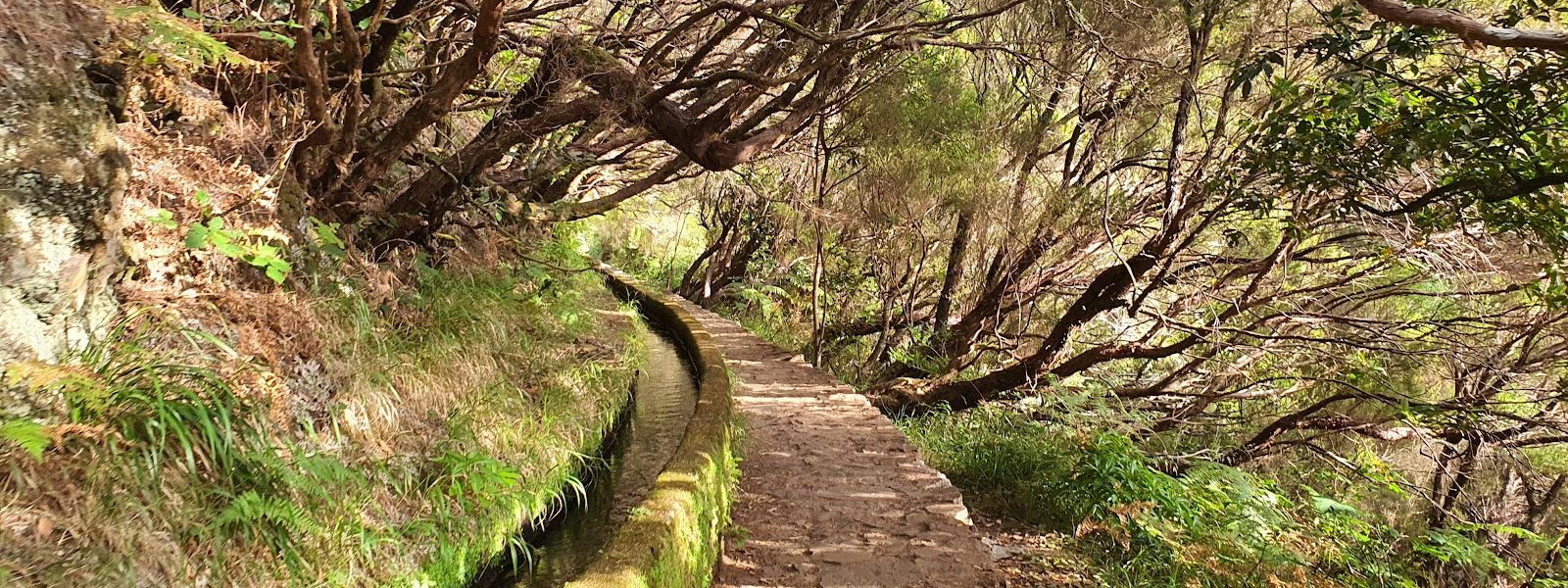 PR6 25 Fontes hike & Levada do Risco