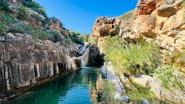 Горго-Каденас