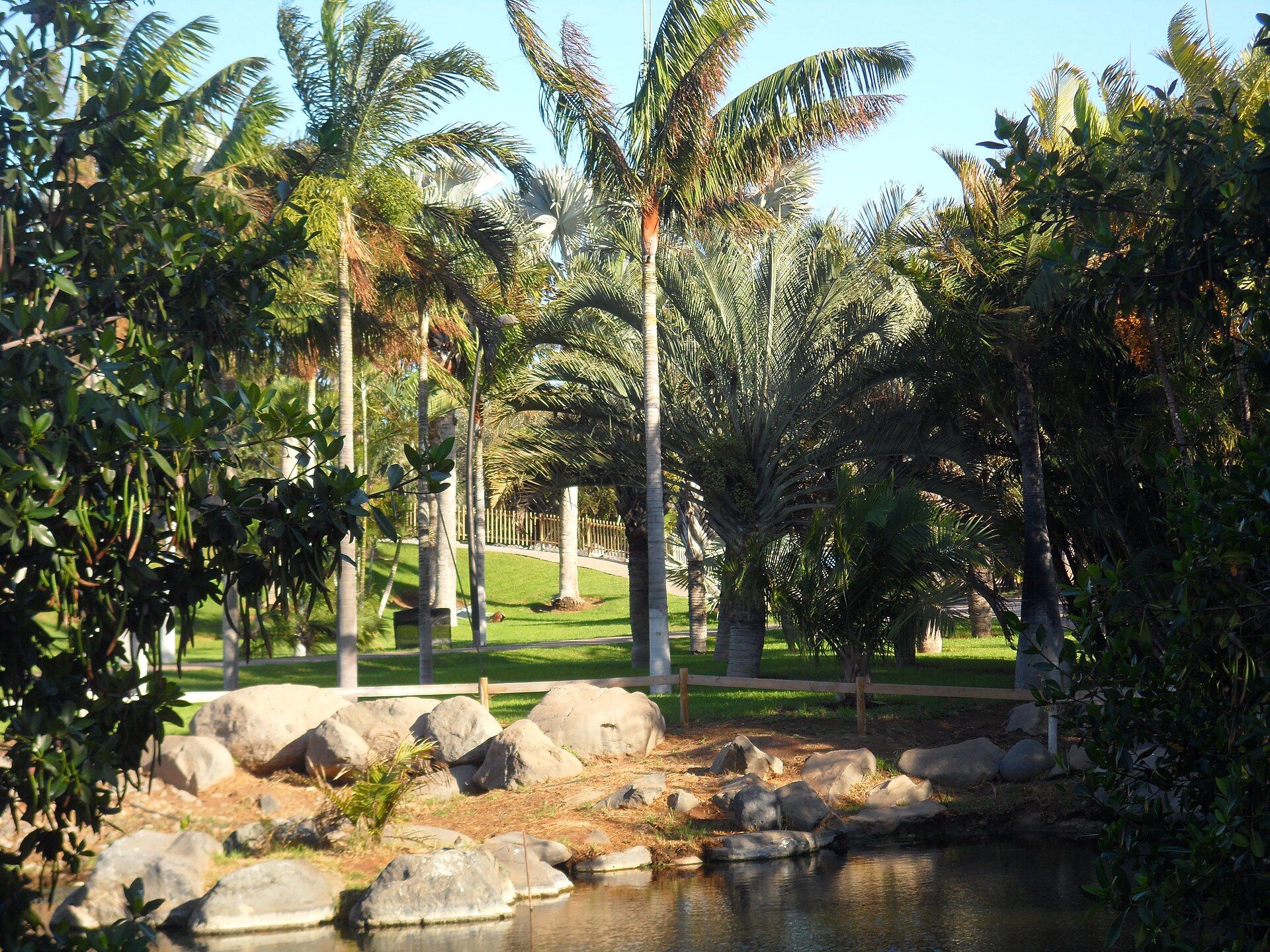 Palmetum of Santa Cruz