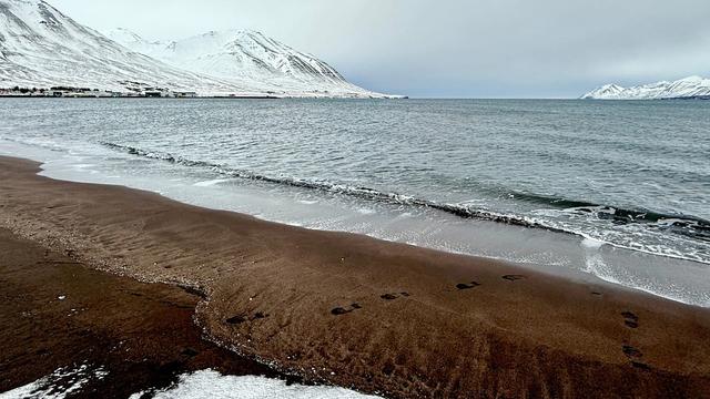 Dalvik Beach