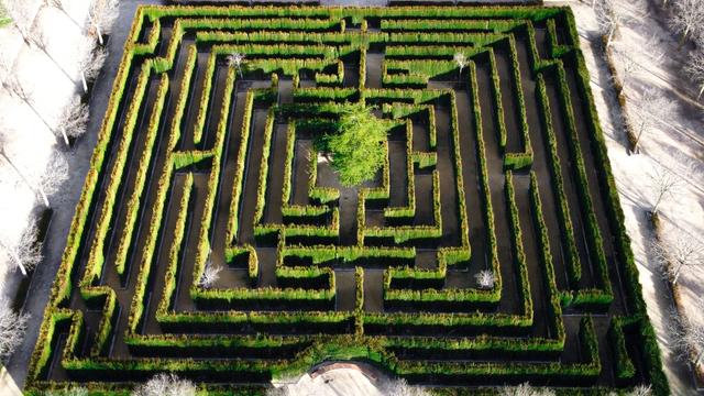 Лабиринт Каса-Тапена