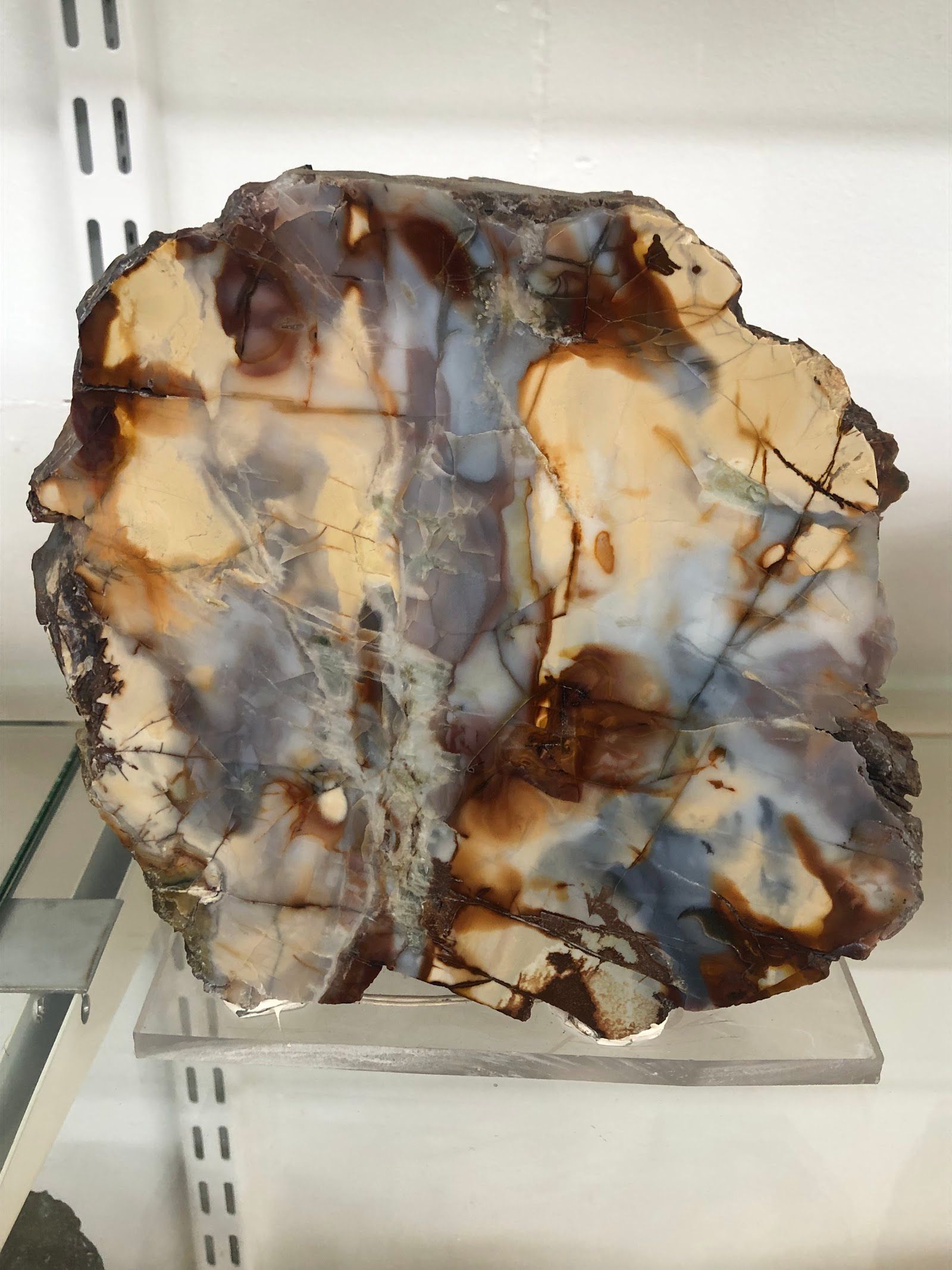 Auðunn's Stone & Mineral Collection