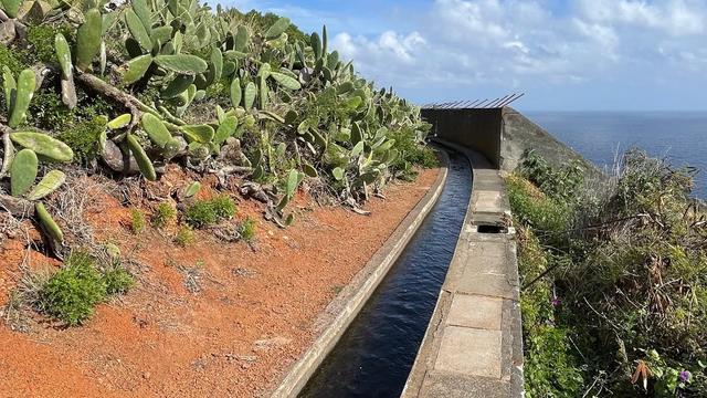 Levada dos Piornais
