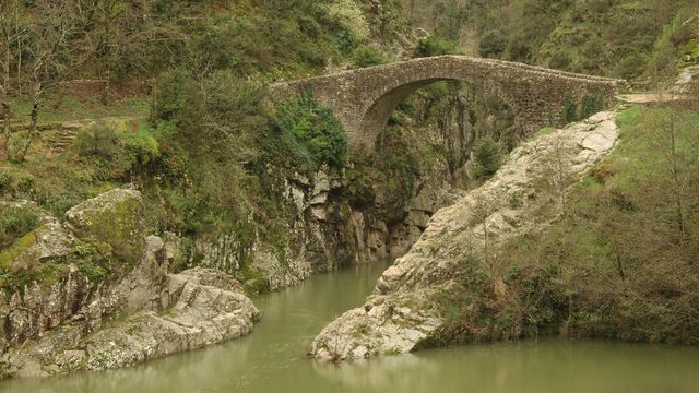Es Pont de n'Ali