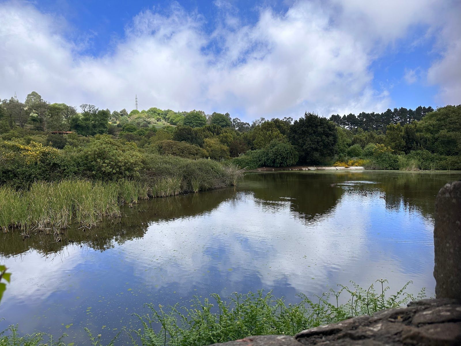 Valleseco Lagoon