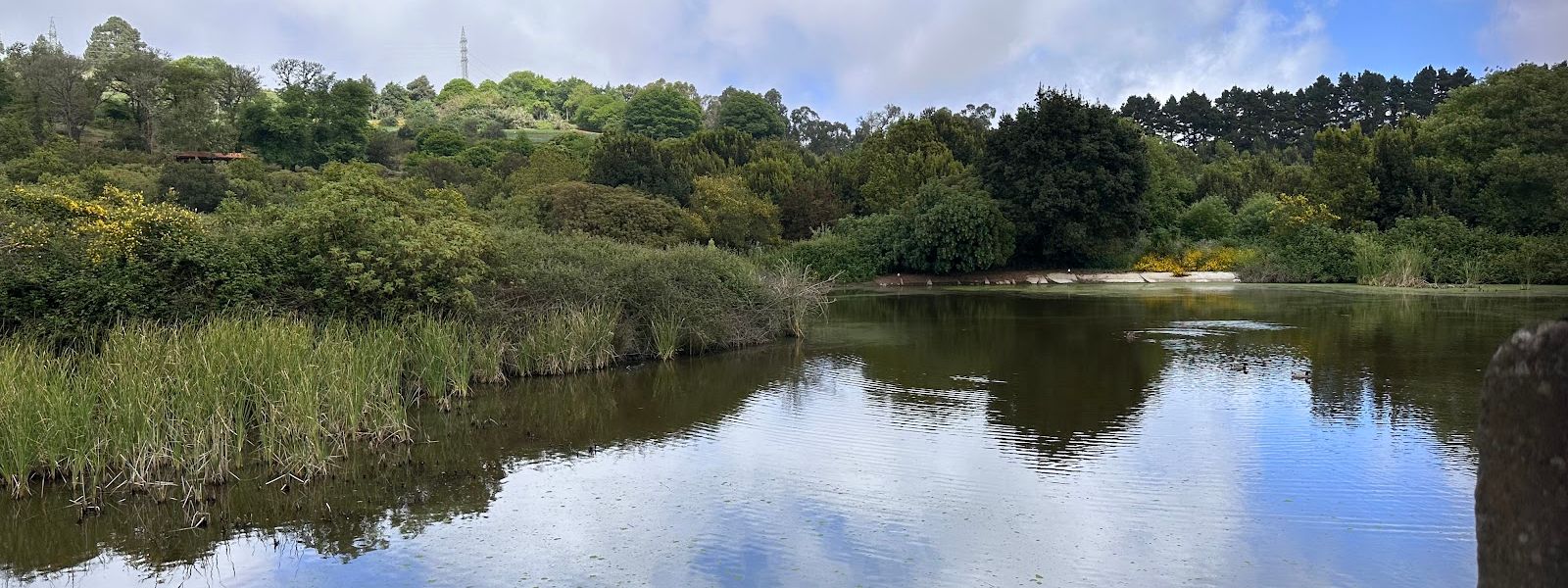 Valleseco Lagoon