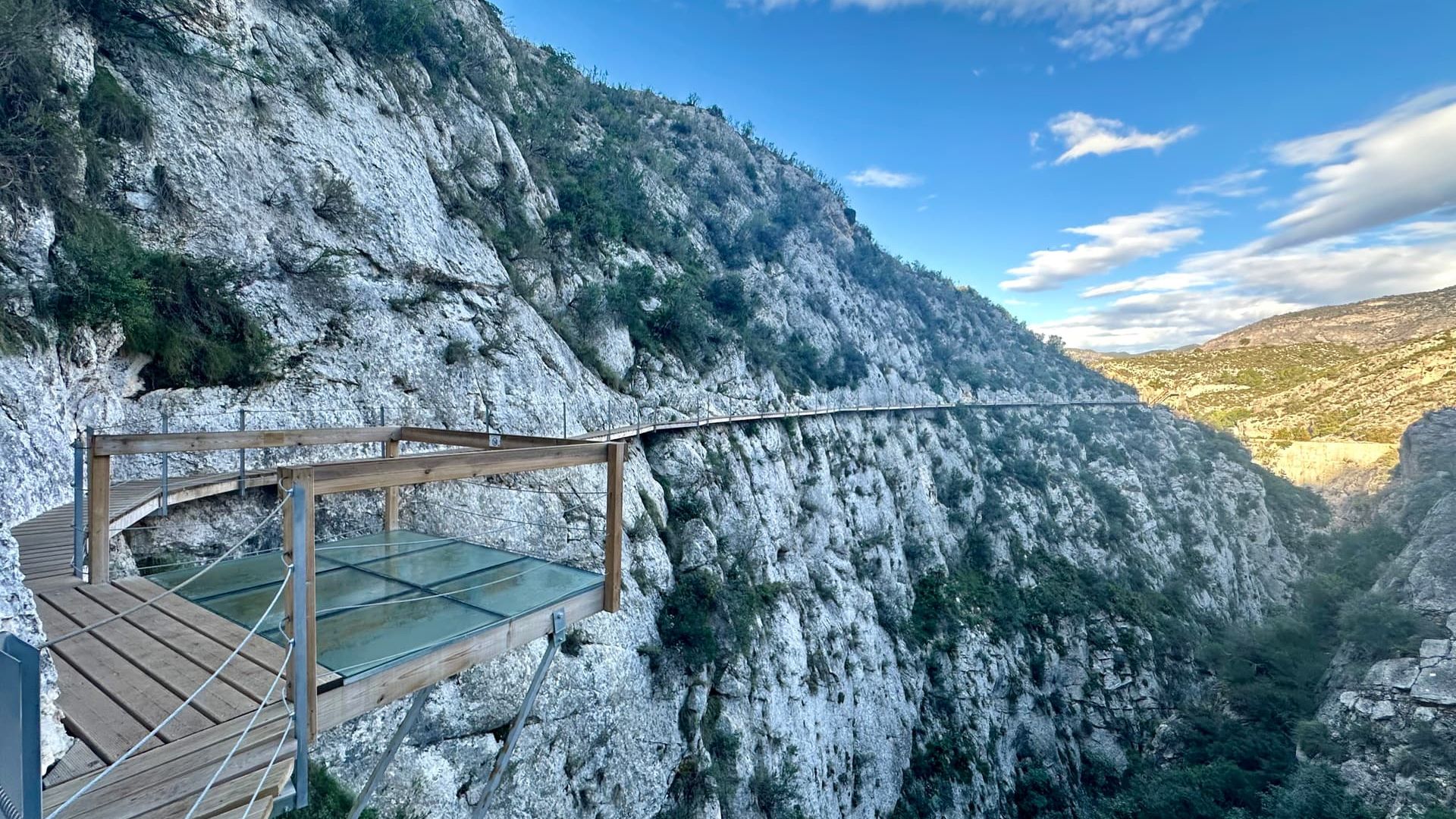 Пасарела Рельеу