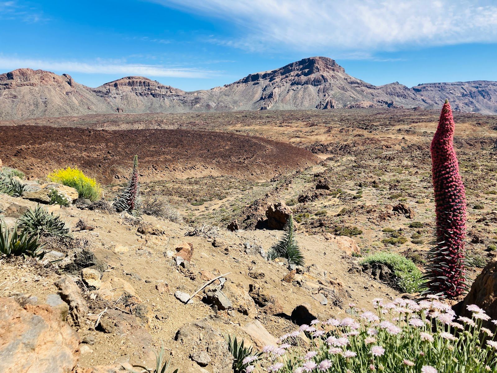 El Tabonal Negro Viewpoint