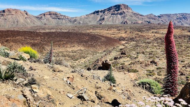 El Tabonal Negro Viewpoint