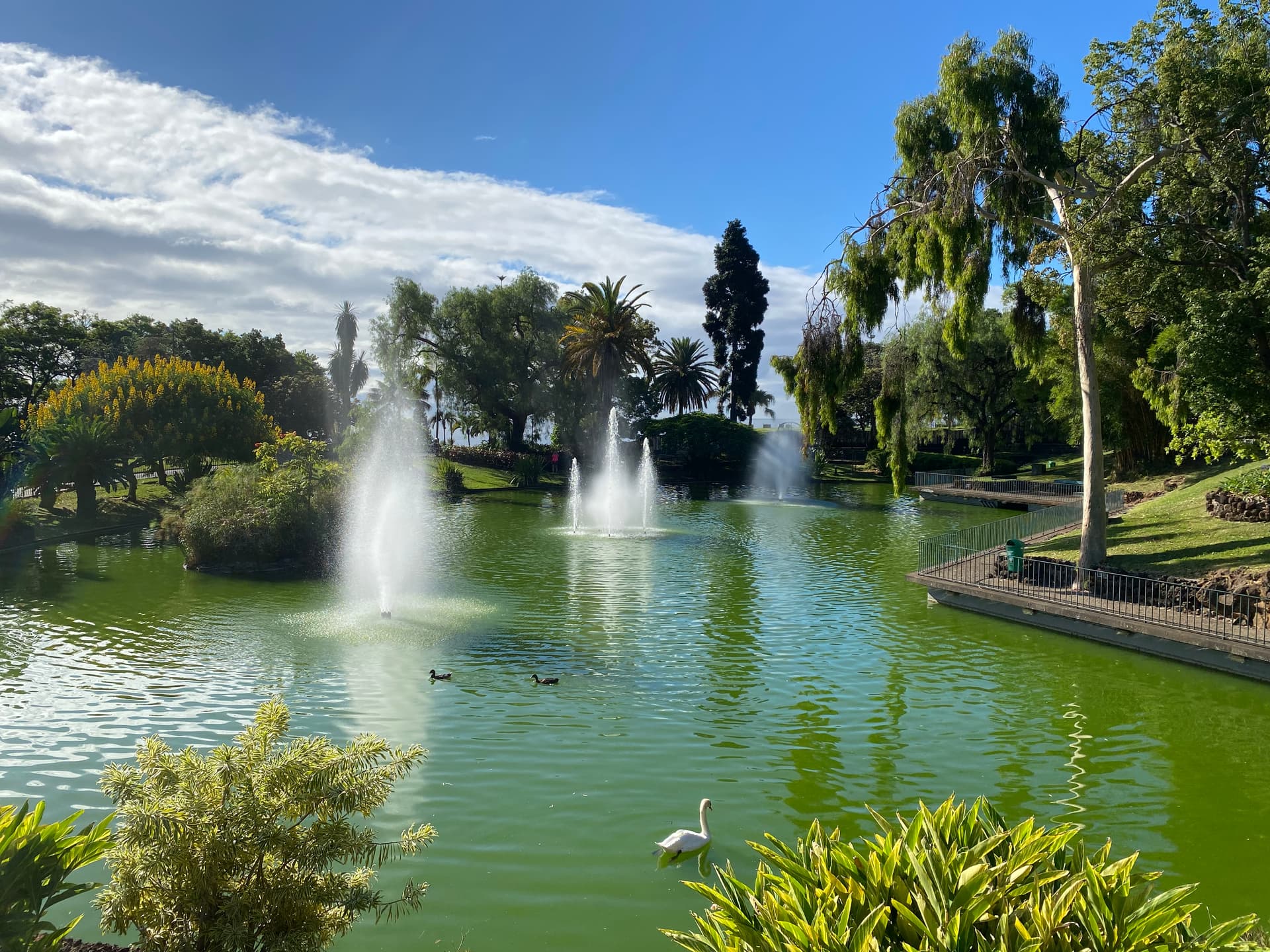 Парк Санта‑Катарына