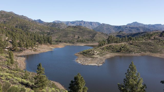 Las Ninas Reservoir