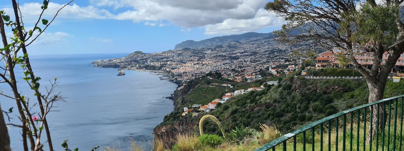 Pináculo Viewpoint