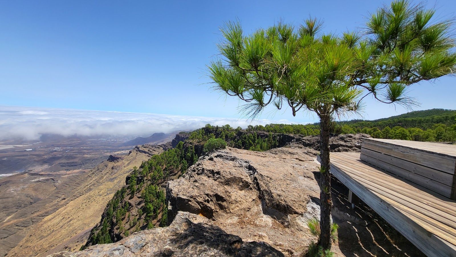 Llanos de la Mimbre Viewpoint
