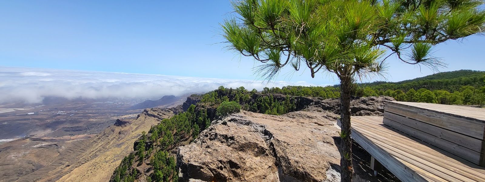 Llanos de la Mimbre Viewpoint