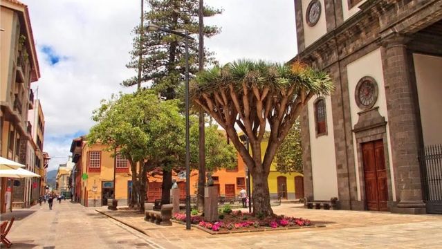 Cathedral of San Cristóbal de La Laguna