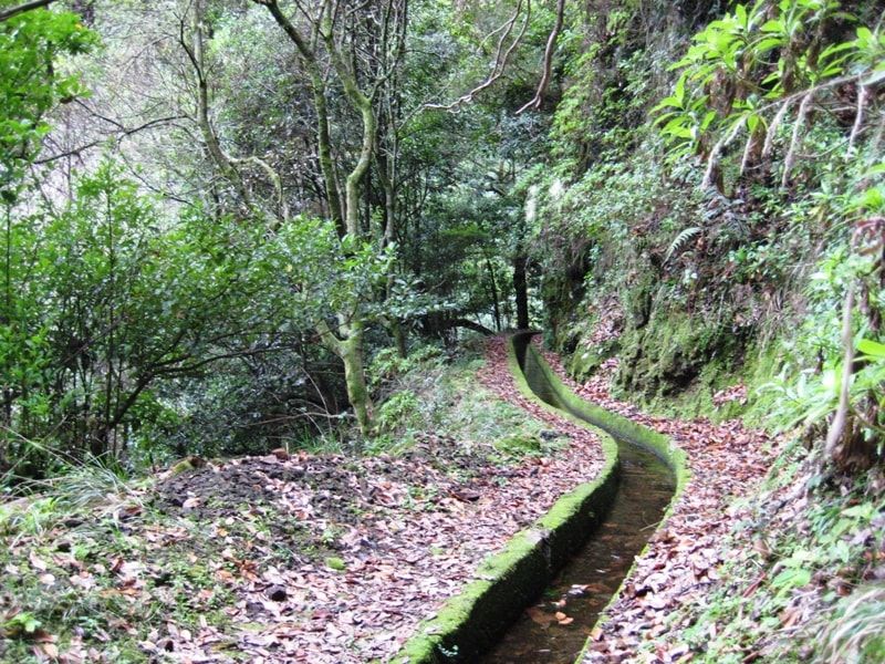 Levada dos Tornos