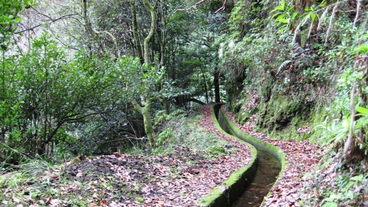 Levada dos Tornos
