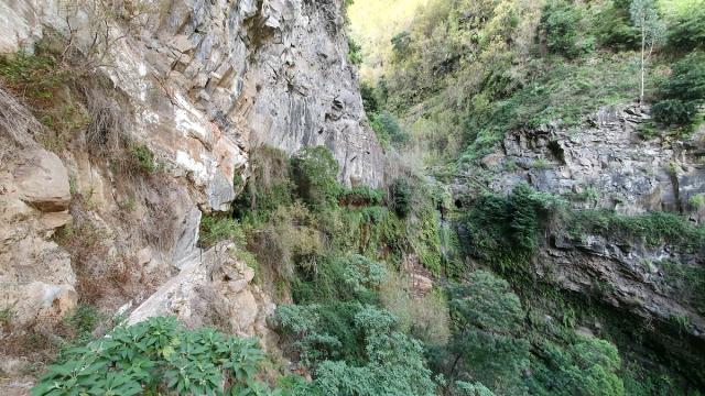 Levada Curral das Freiras (CF20)