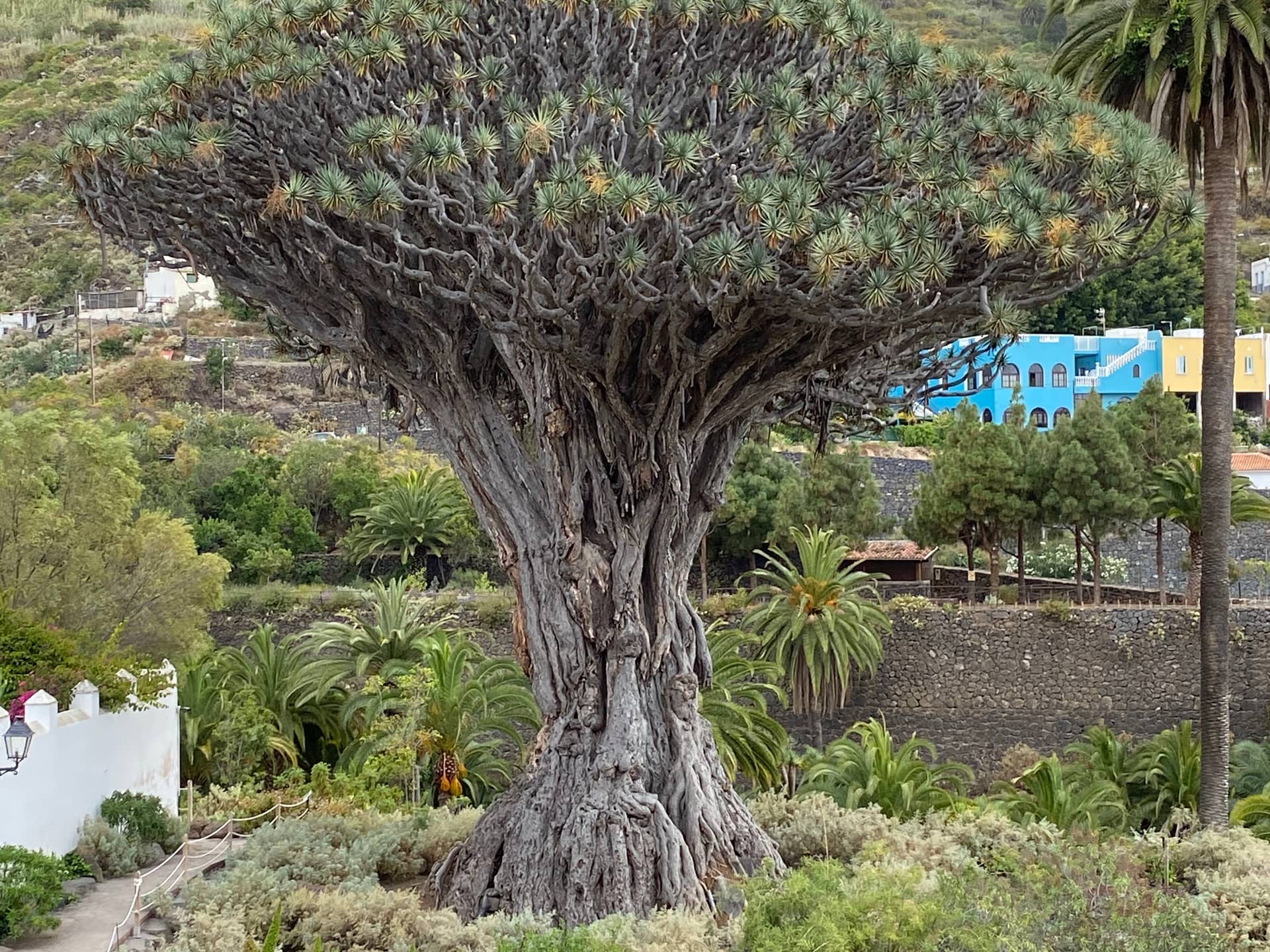 Площадь Хосе Мануэля Кабреры