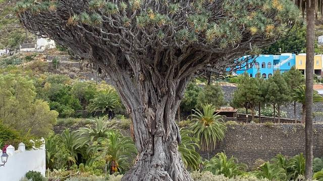 Площадь Хосе Мануэля Кабреры