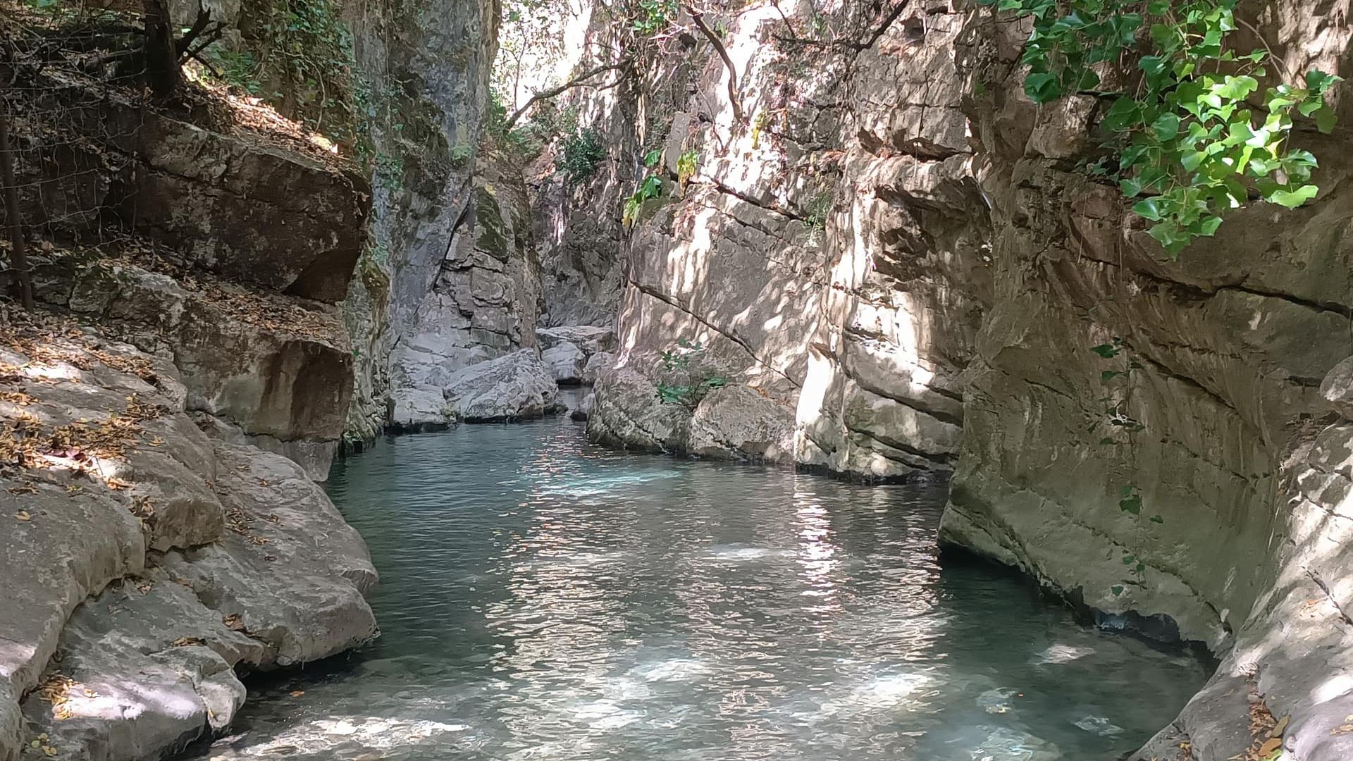 Ручей Бокалеонес