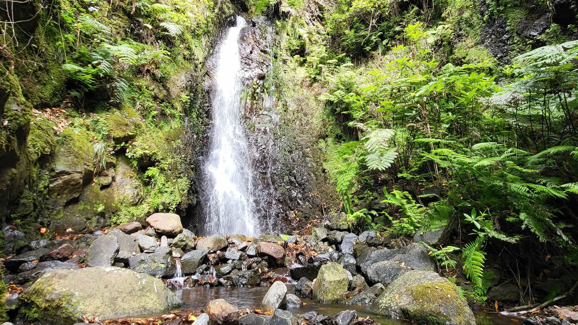 Левада дос-Торнуш