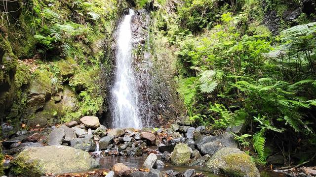 Левада дос-Торнуш