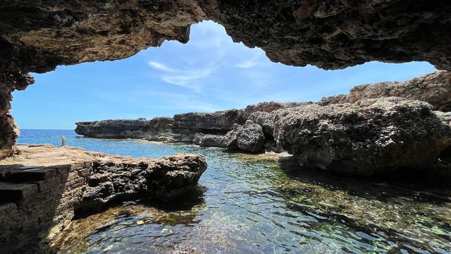 Cova des Pardals