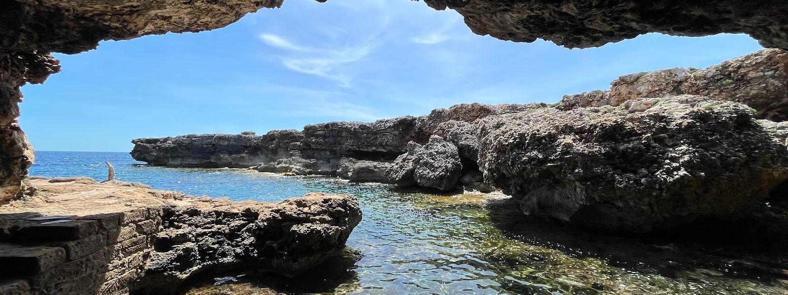 Cova des Pardals