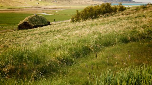 Eiríksstaðir Viking Longhouse