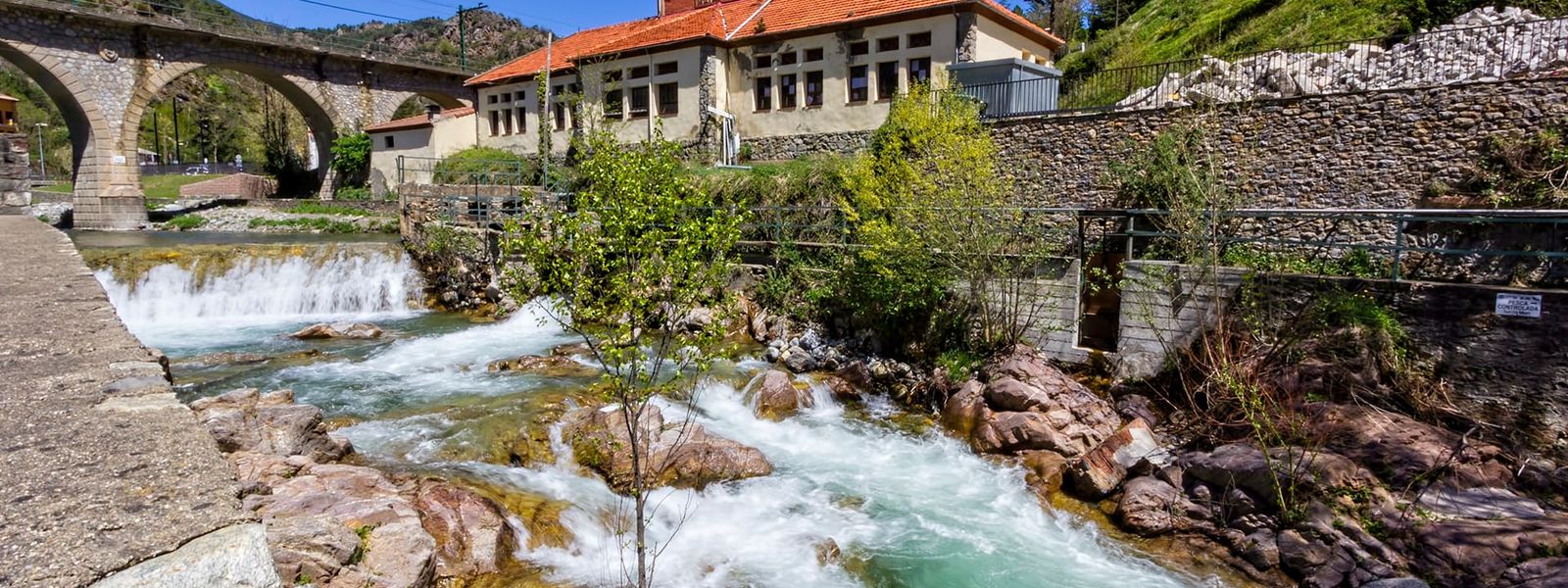 Ribes de Freser