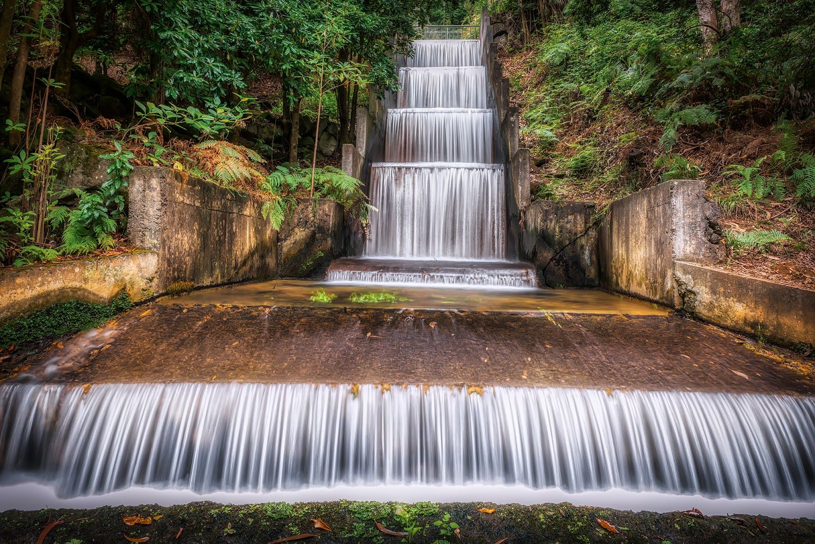 PR16 Levada Fajã do Rodrigues