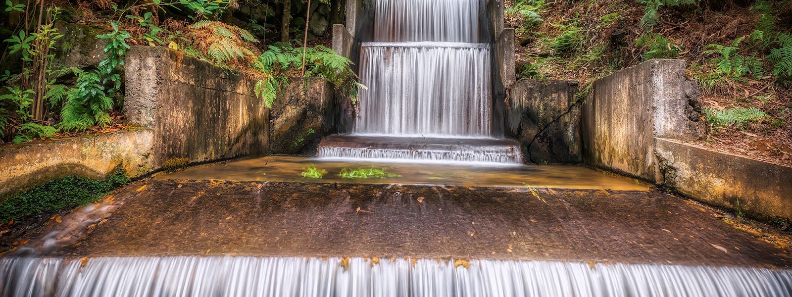 PR16 Levada Fajã do Rodrigues