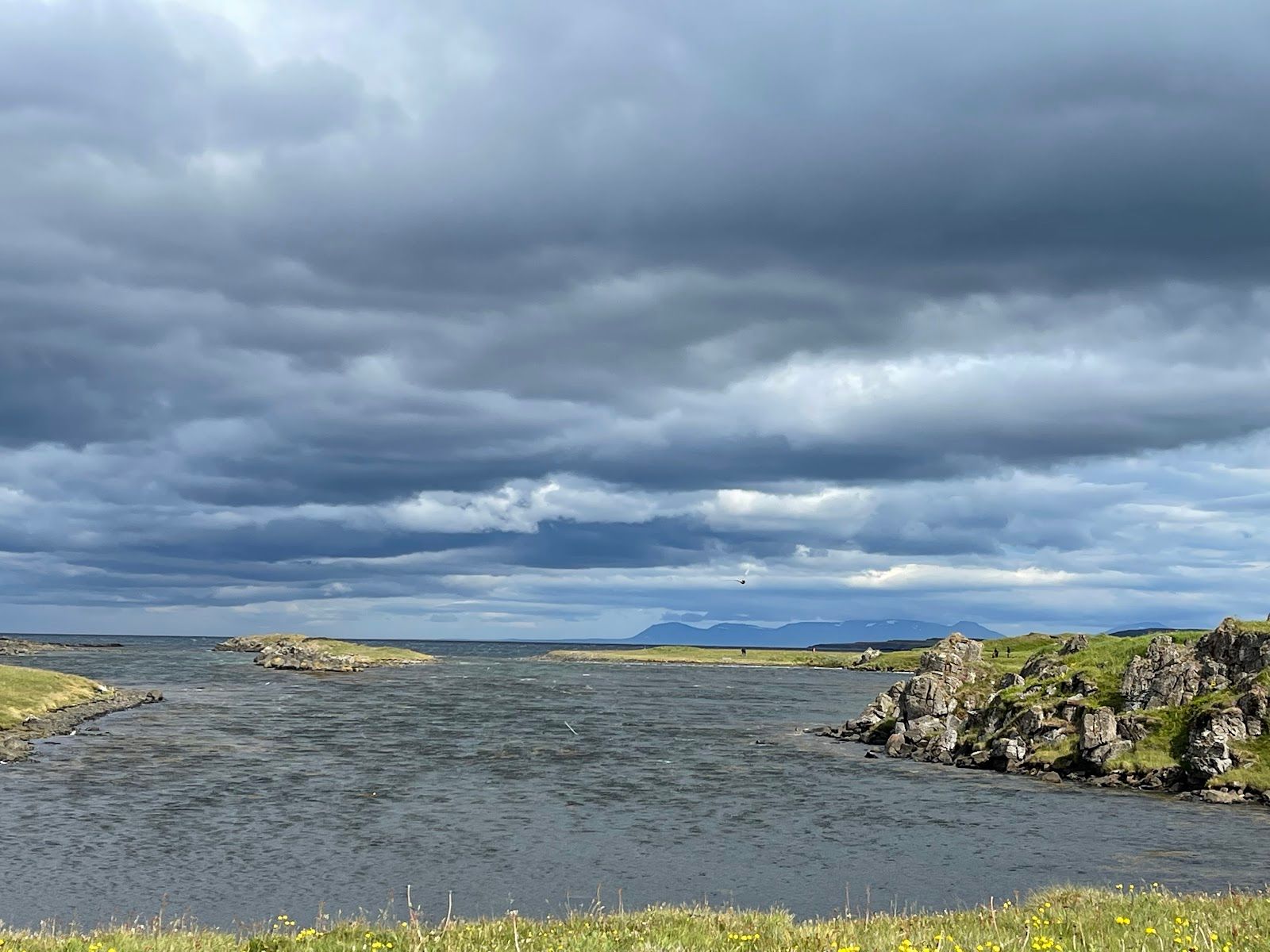 Illugastaðir Seal Watching