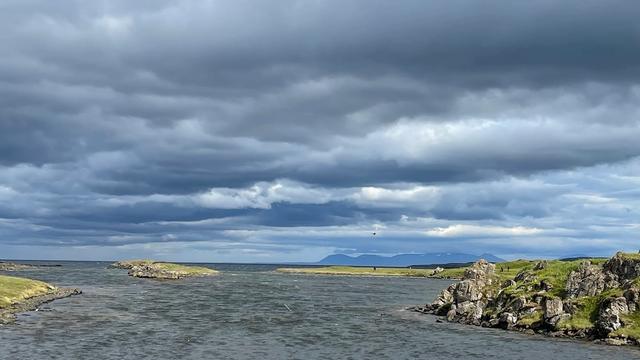 Illugastaðir Seal Watching