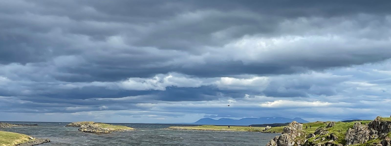Illugastaðir Seal Watching