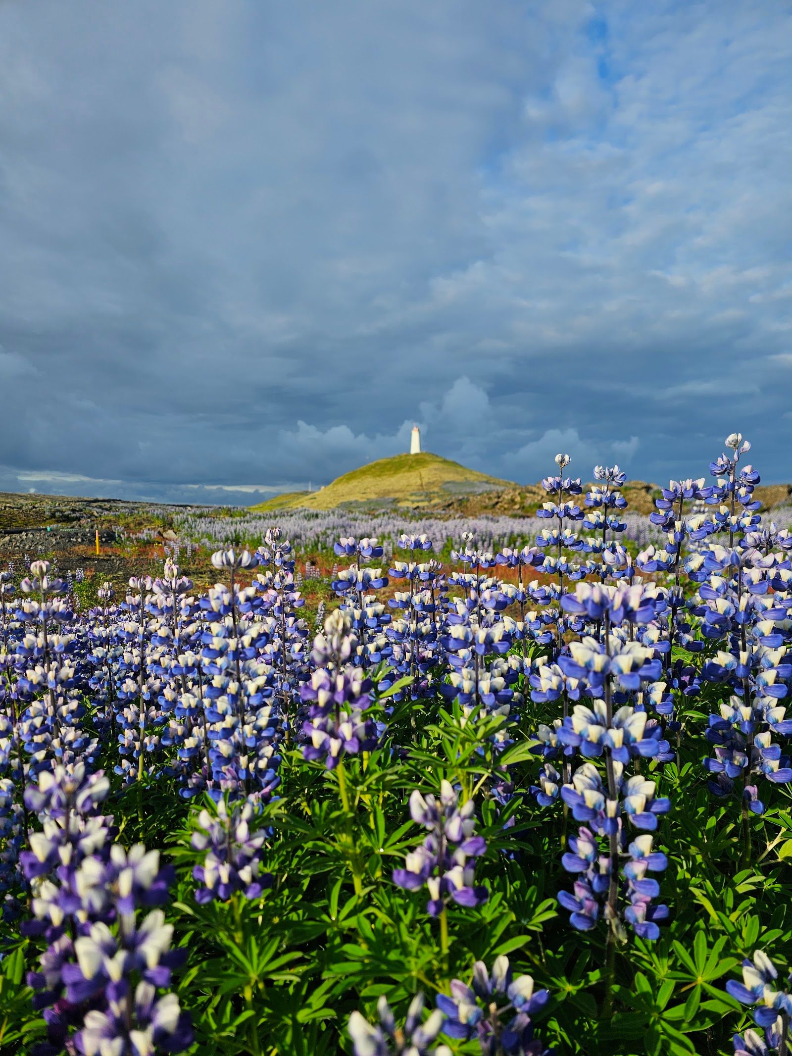 Reykjanes Lighthouse