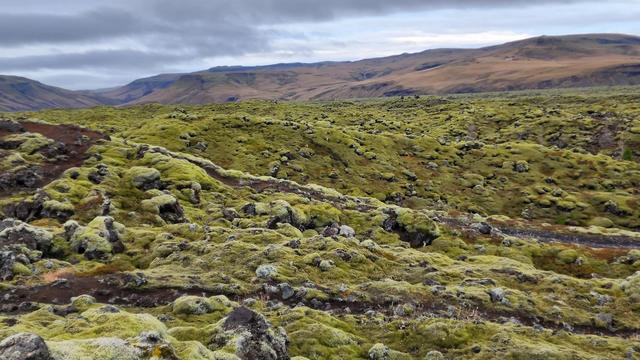 Eldhraun Lava Field