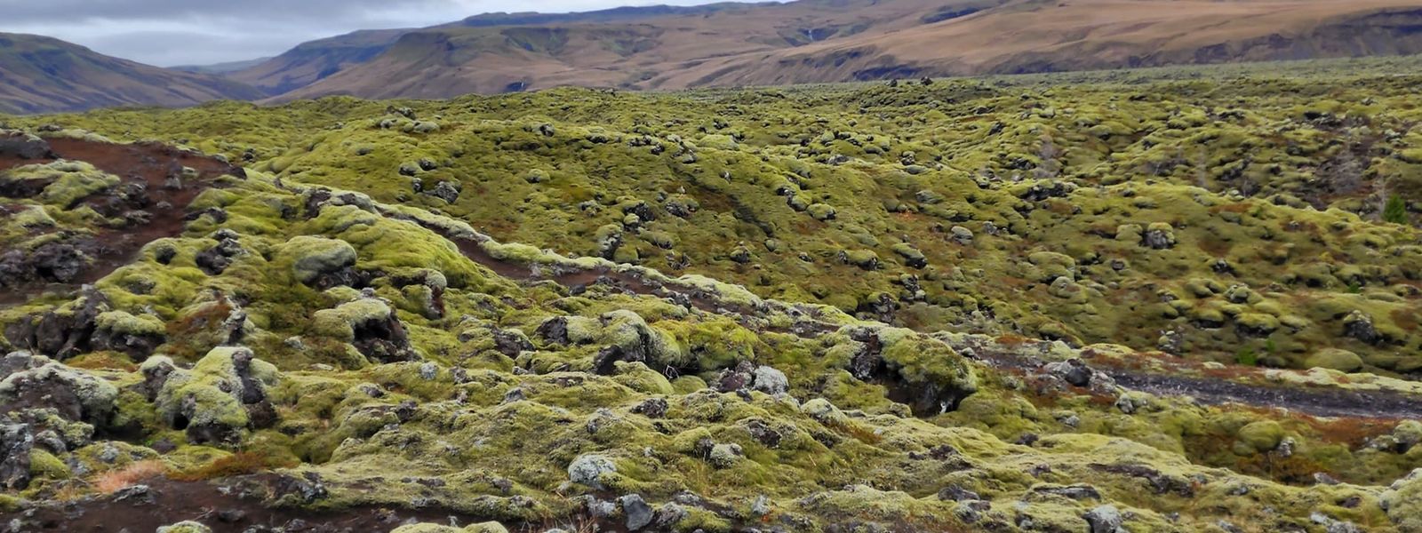 Eldhraun Lava Field